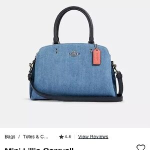 Coach Blue Crossbody Bag